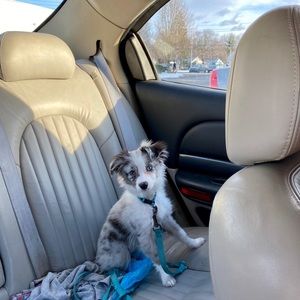 Meet your Posher, Alison